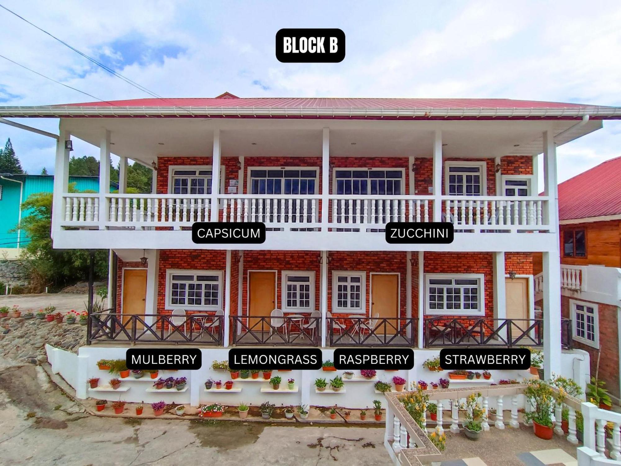 Kundasang Guesthouse Εξωτερικό φωτογραφία