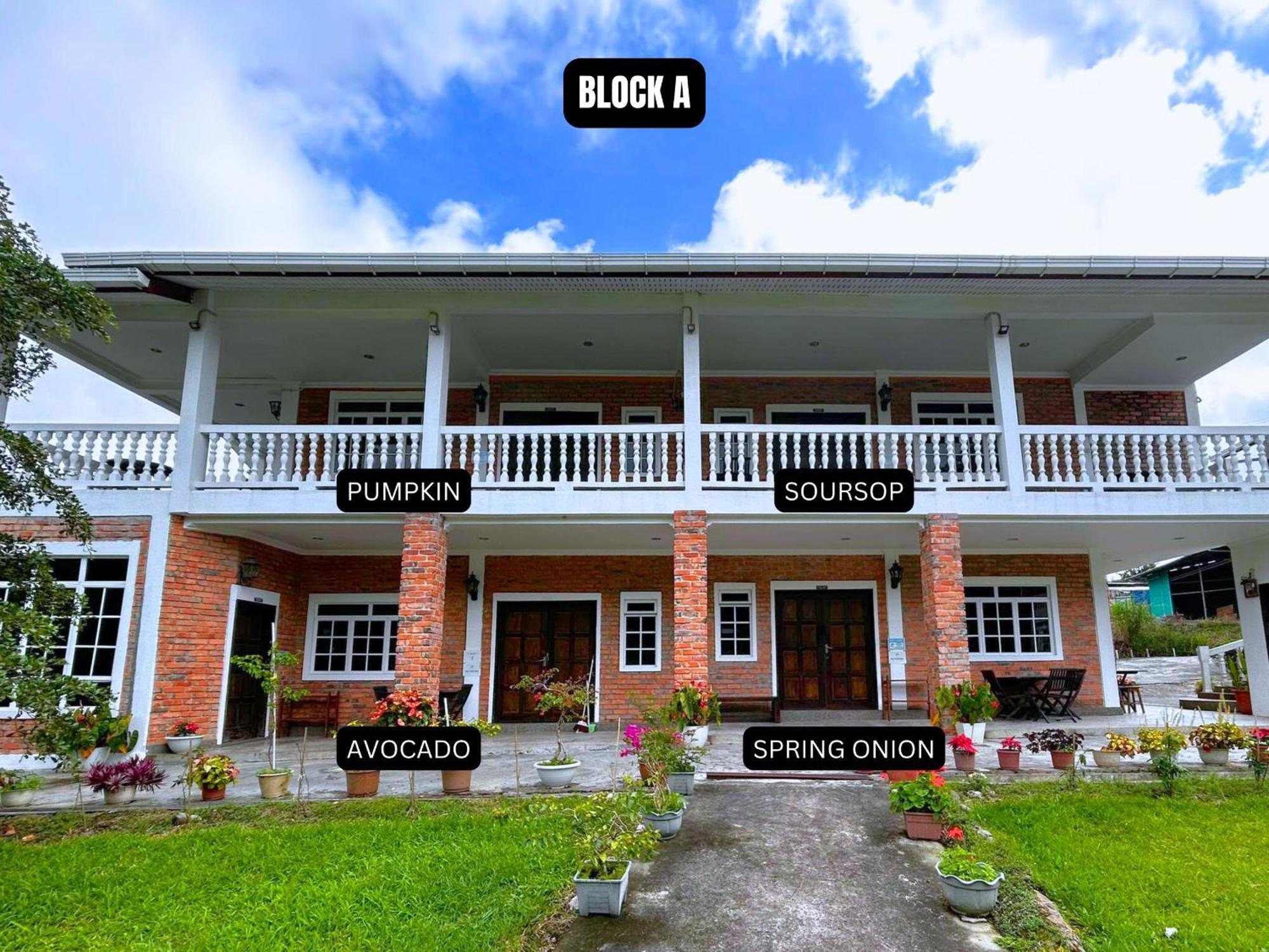 Kundasang Guesthouse Εξωτερικό φωτογραφία